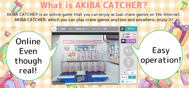 AKIBA CATCHERとは？